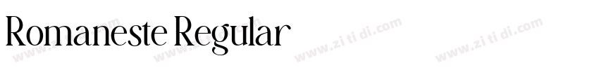 Romaneste Regular字体转换